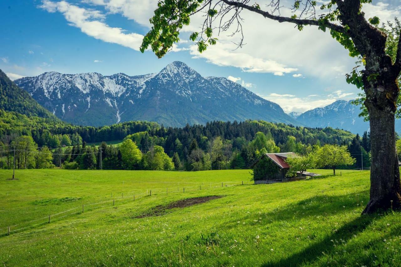 Ferienwohnung Grundlsee, Willkommen In Mami'S Ferienwohnung Exterior foto